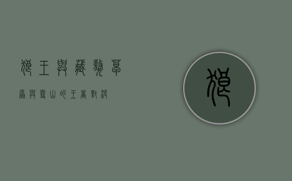 狼王与藏獒，草原与雪山的王者对决