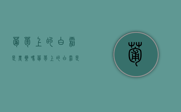 葡萄上的白霜是农药吗（葡萄上的白霜是农药吗）