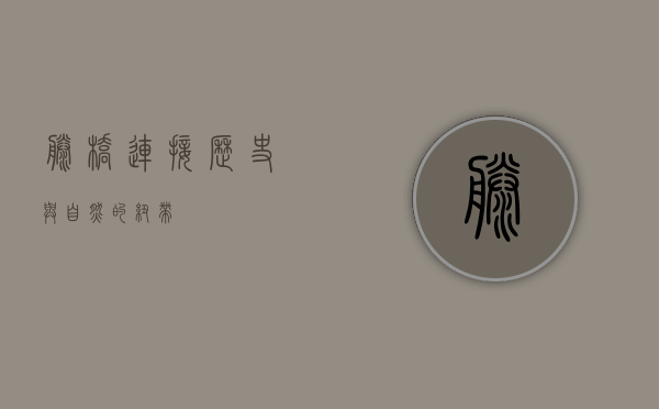藤桥，连接历史与自然的纽带