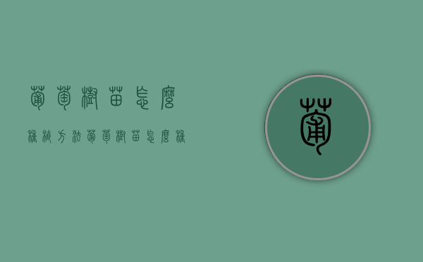 葡萄树苗怎么种植方法（葡萄树苗怎么种植效果好）（葡萄树咋种）