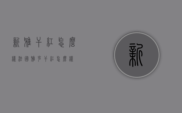 新雅干红怎么样（法国雅克干红怎么样）