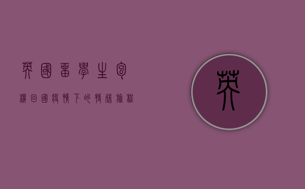 英国留学生包机回国，疫情下的特殊旅程与深刻反思