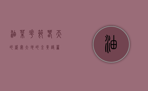 油菜花节，春天的盛宴，大地的金黄诗篇