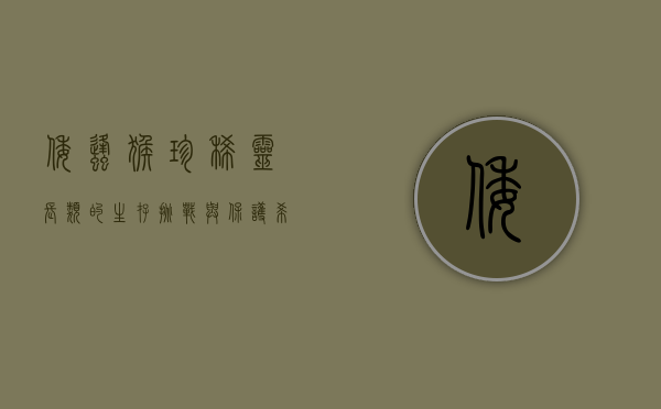 倭蜂猴，珍稀灵长类的生存挑战与保护希望