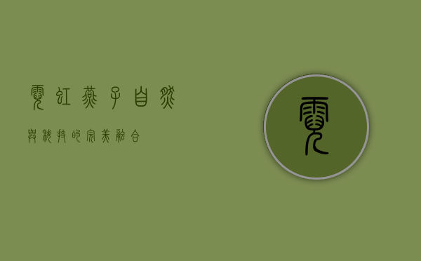 霓虹燕子,自然与科技的完美融合 霓虹燕子,自然与科技的完美融合