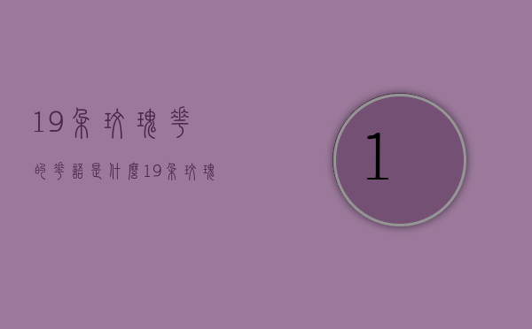 19朵玫瑰花的花语是什么（19朵玫瑰花的寓意和花语）