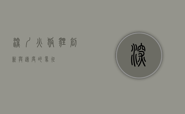 深圳火狐狸，创新与速度的象征