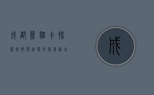 成都熊猫卡，探索城市与自然的完美融合