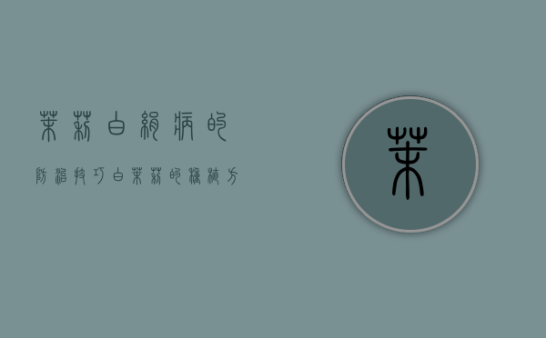 茉莉白绢病的防治技巧（白茉莉的种植方法和技术）