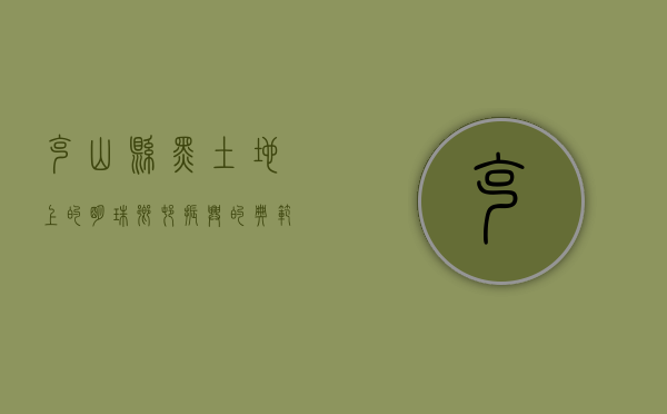 克山县，黑土地上的明珠，乡村振兴的典范