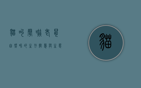 猫叫声吓老鼠，自然界的生存智慧与生态平衡