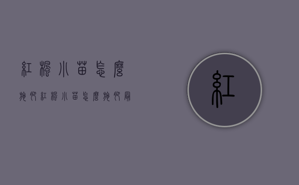 红枫小苗怎么施肥（红枫小苗怎么施肥最好）
