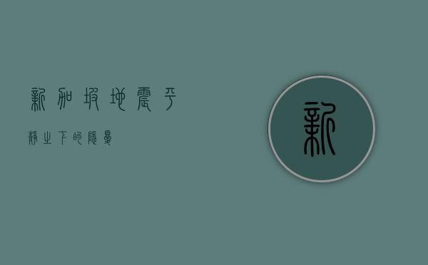 新加坡地震，平静之下的隐忧