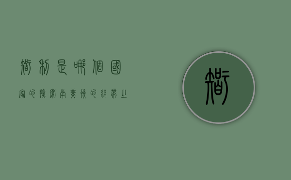 智利是哪个国家的？探索南美洲的丝带之国
