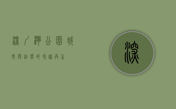 深圳湾公园，城市与自然的和谐共生