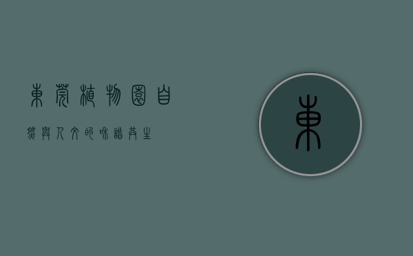 东莞植物园，自然与人文的和谐共生