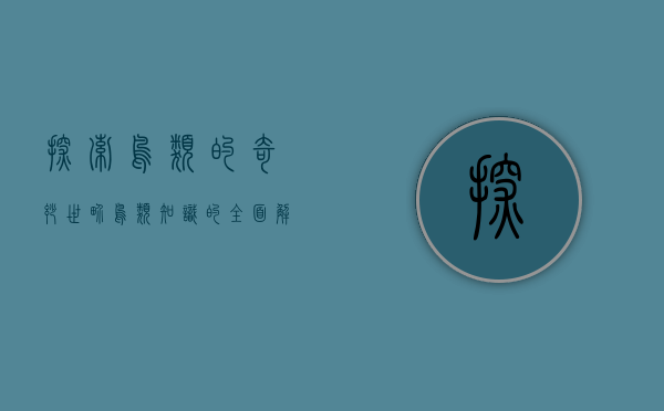 探索鸟类的奇妙世界，鸟类知识的全面解析