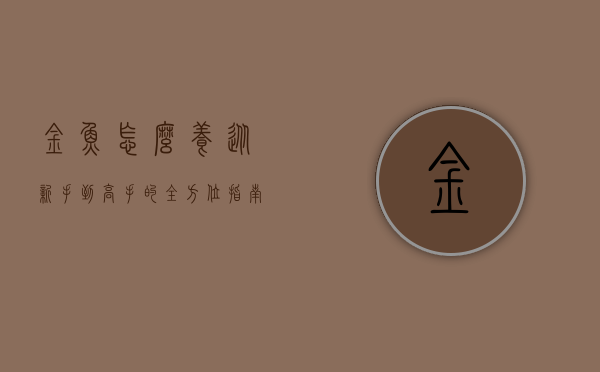金鱼怎么养?从新手到高手的全方位指南 金鱼怎么养?从新手到高手的全方位指南