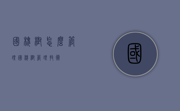 国槐树怎么管理（国槐树管理技术）