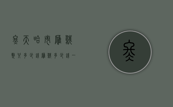 冬天哈市雁鹅整只多少钱（雁鹅多少钱一斤今天市场）