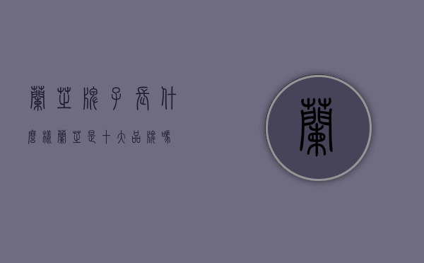 兰芝牌子长什么样（兰芝是十大品牌吗）