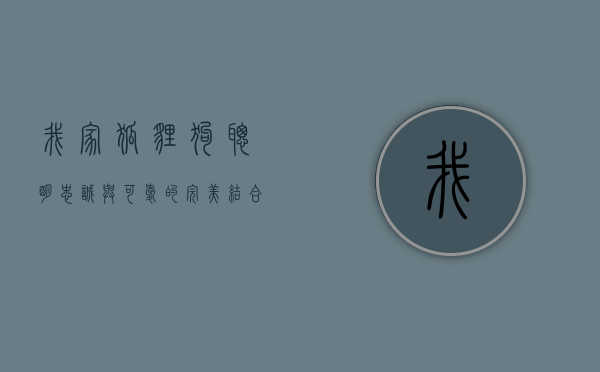 我家狐狸狗，聪明、忠诚与可爱的完美结合