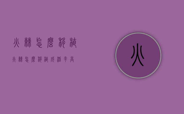 火棘怎么移植（火棘怎么移植成活率高）