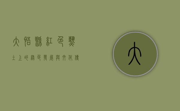 大悟县，红色热土上的绿色发展与文化传承