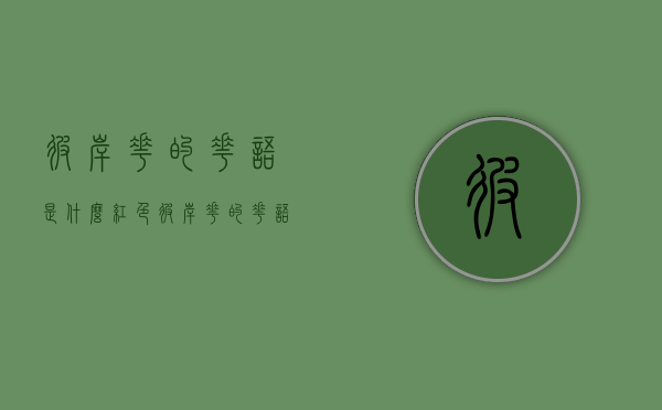 彼岸花的花语是什么（红色彼岸花的花语是什么）