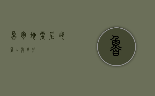 鲁甸，地震后的重生与希望