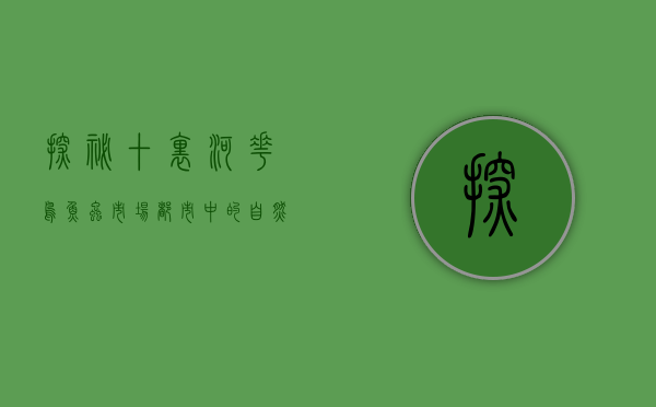 探秘十里河花鸟鱼虫市场，都市中的自然乐园