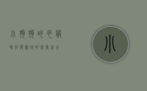 小狗狗的衣服，时尚与实用的完美结合
