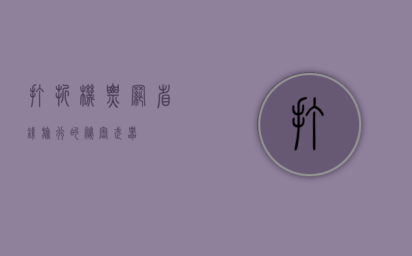 打折机票网，省钱旅行的秘密武器