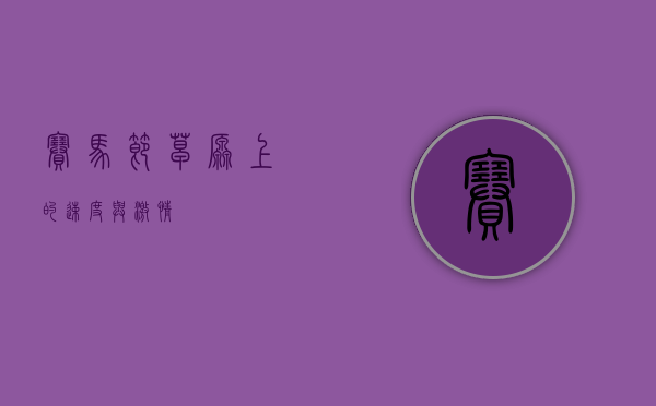 赛马节，草原上的速度与激情