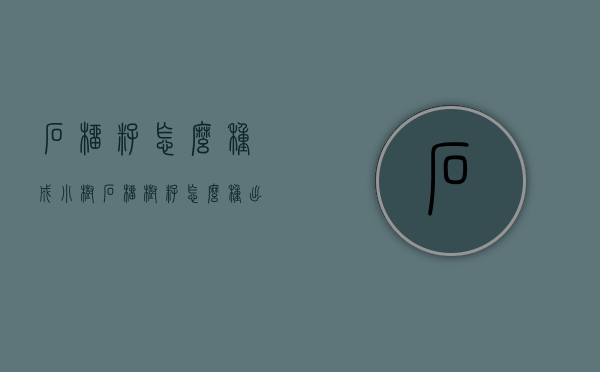 石榴籽怎么种成小树（石榴树籽怎么种出来苗）