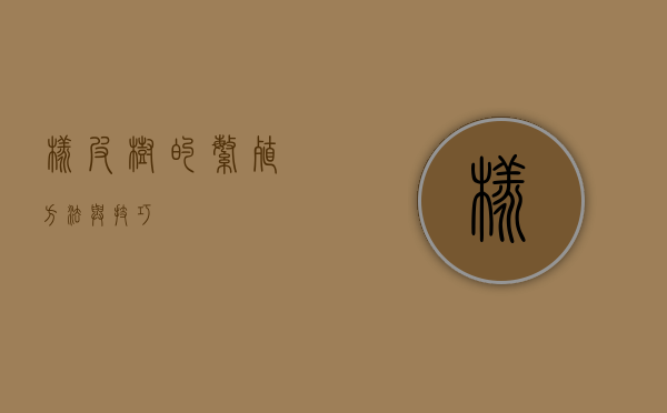 橡皮树的繁殖方法与技巧