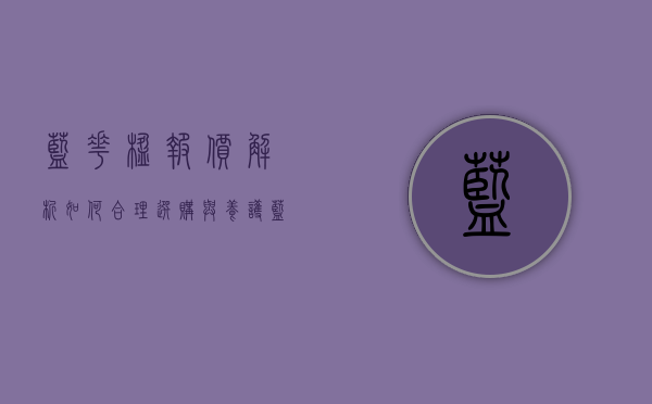 蓝花楹报价解析，如何合理选购与养护蓝花楹