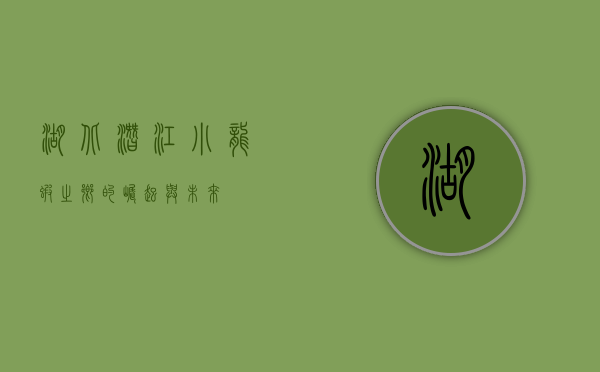 湖北潜江，小龙虾之乡的崛起与未来