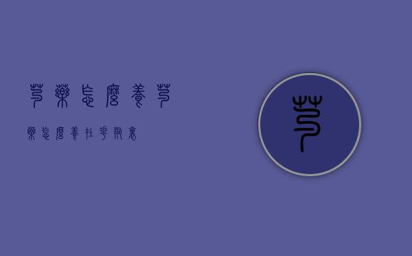 芍药怎么养（芍药怎么养在花瓶里）