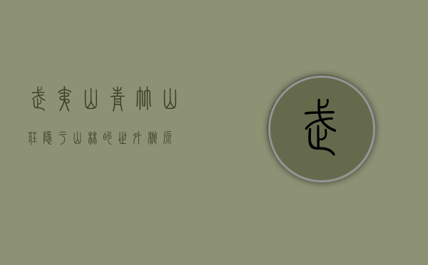 武夷山青竹山庄，隐于山林的世外桃源