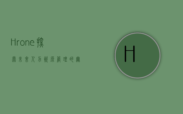 Hrone，探索未来人力资源管理的无限可能