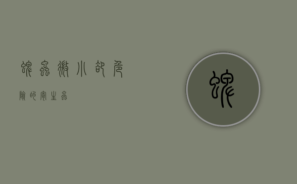 蜱虫，微小却危险的寄生虫