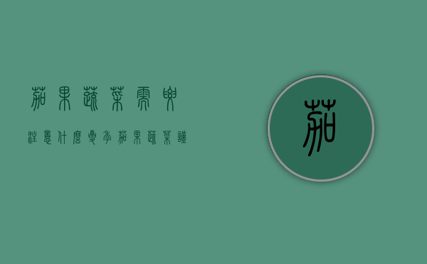 茄果蔬菜需要注意什么？夏季茄果蔬菜谨防日灼病发生（茄果蔬菜都有啥品种）