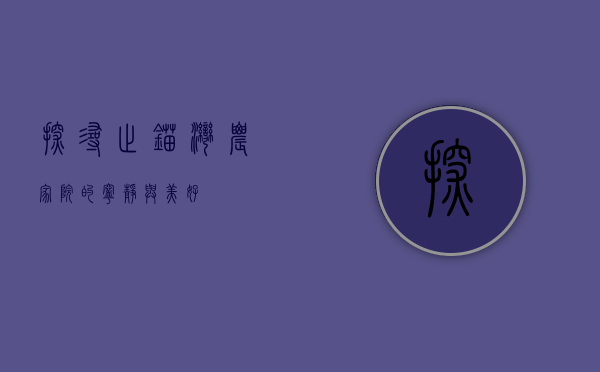 探寻止锚湾农家院的宁静与美好
