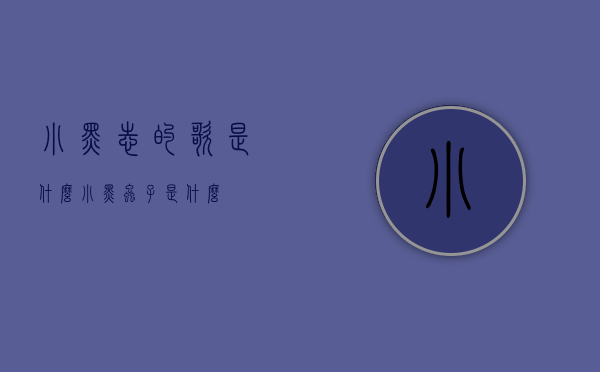 小黑志的歌是什么（小黑虫子是什么）