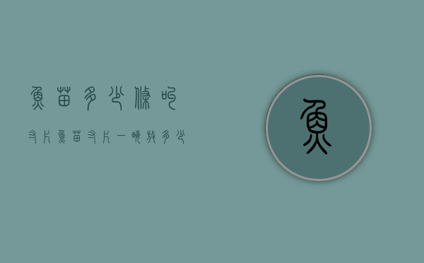 鱼苗多少条叫寸片（鱼苗寸片一亩放多少苗）