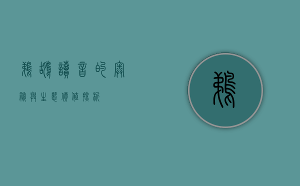 鹈鹕读音的奥秘与生态价值探析