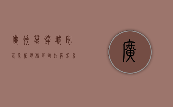 广州万达，城市商业新地标的崛起与未来展望