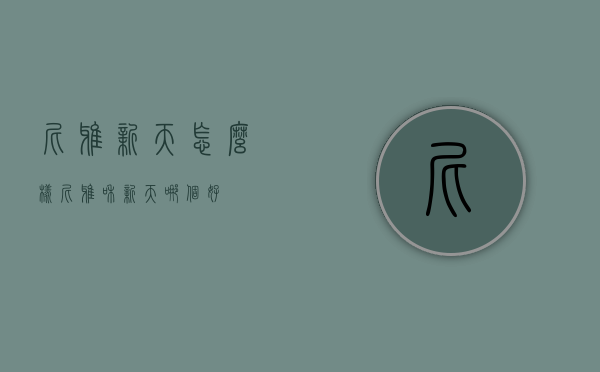 尼雅新天怎么样（尼雅和新天哪个好）