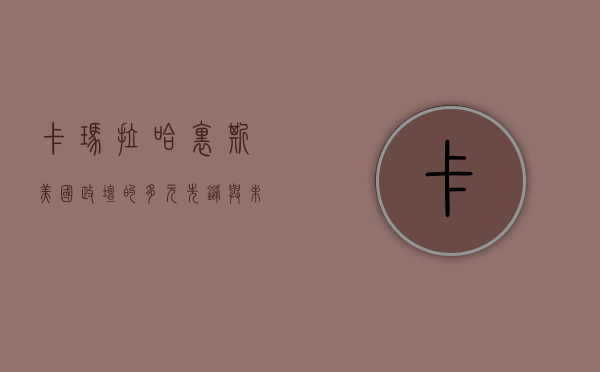 卡玛拉·哈里斯，美国政坛的多元先锋与未来领袖